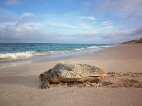Gnaraloo Station - Accommodation Brunswick Heads 9
