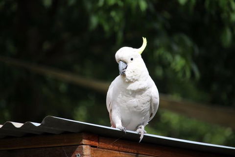 Jamieson Caravan Park - Accommodation Brunswick Heads 2