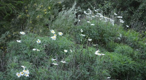 Northam Caravan Park - Accommodation Brunswick Heads 2