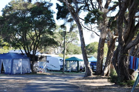 Queenscliff Tourist Park - Accommodation Brunswick Heads 2