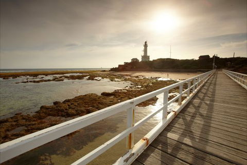 Queenscliff Tourist Park - Accommodation Brunswick Heads 7