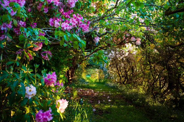 Lalla TAS Accommodation Brunswick Heads