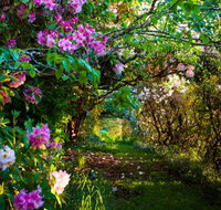 The Pear Walk - Accommodation Brunswick Heads