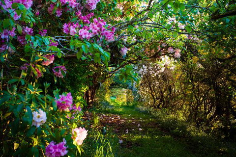 The Pear Walk - Accommodation Brunswick Heads 0