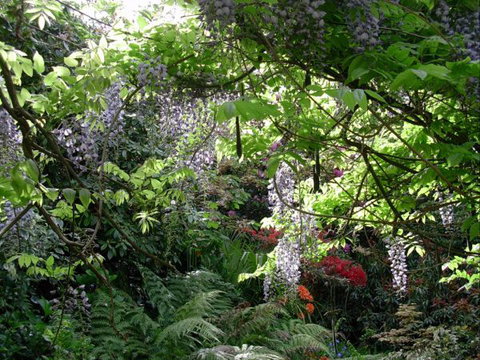 The Pear Walk - Accommodation Brunswick Heads 3