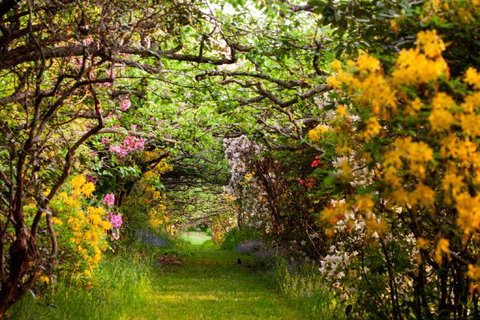 The Pear Walk - Accommodation Brunswick Heads 4