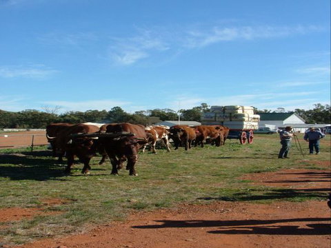 Trundle Showground - Accommodation Brunswick Heads 1