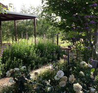 Wandana Bed and Breakfast - Accommodation Brunswick Heads