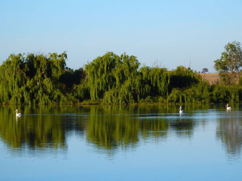 Westbrook Park - Accommodation Brunswick Heads 2
