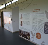 Whitestone Apartments - Accommodation Brunswick Heads