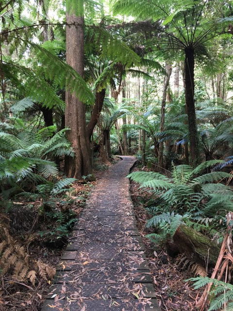 Woodland Mirth Holiday Retreat - Accommodation Brunswick Heads 8