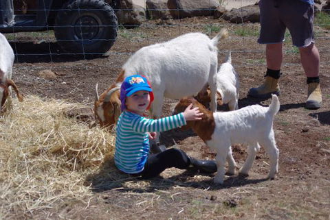 Yalooka Farm - Accommodation Brunswick Heads 3