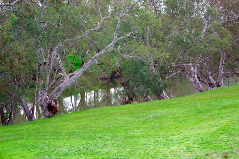 Yalooka Farm - Accommodation Brunswick Heads 4