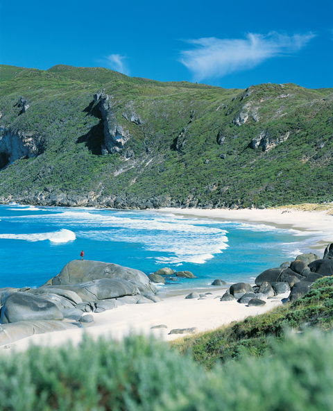 Banksia Camp At D'Entrecasteaux National Park - Accommodation Brunswick Heads 0