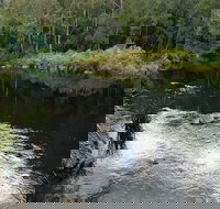 Cod Hole campground and picnic area - Accommodation Brunswick Heads
