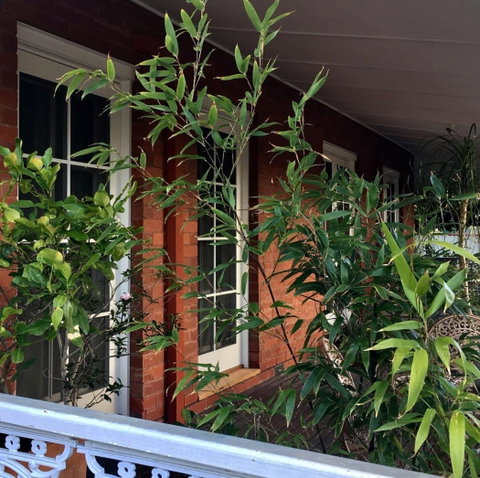 Heathcote Contemporary Art Boutique Accommodation - Accommodation Brunswick Heads 6