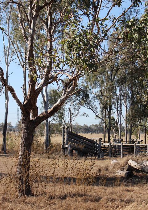Keira Farm - Accommodation Brunswick Heads 3