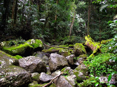 Nightfall  Camp - Accommodation Brunswick Heads 4