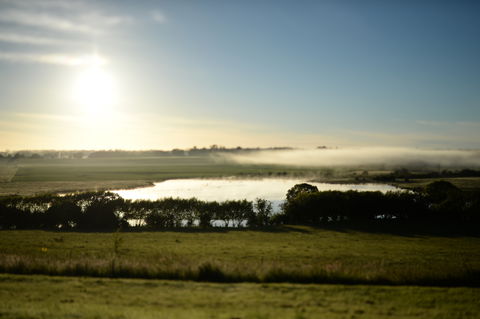Quamby Estate - Accommodation Brunswick Heads 7