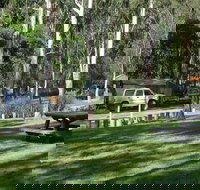 Chaelundi campground - Accommodation Brunswick Heads