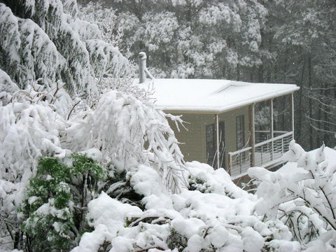 Lyrebird Cottages - Accommodation Brunswick Heads 2