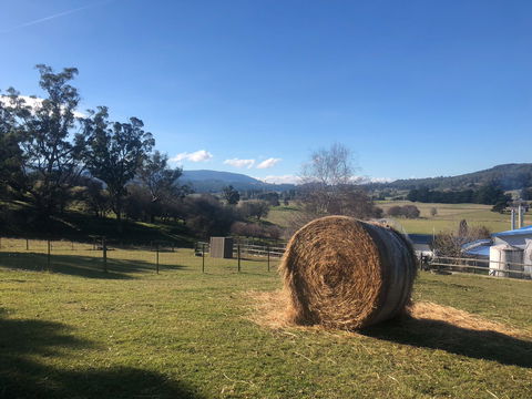 Mole Creek Hideaway - Accommodation Brunswick Heads 4