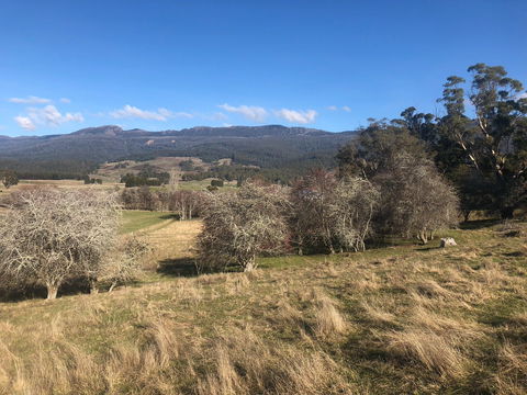 Mole Creek Hideaway - Accommodation Brunswick Heads 5