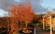 Mole Creek Hideaway - thumb 6