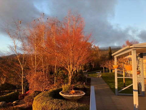 Mole Creek Hideaway - Accommodation Brunswick Heads 6