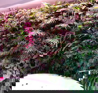 Ocean Blue B and B - Accommodation Brunswick Heads