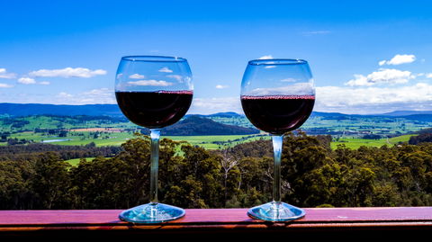 The Peak Forest Retreat - Accommodation Brunswick Heads 10