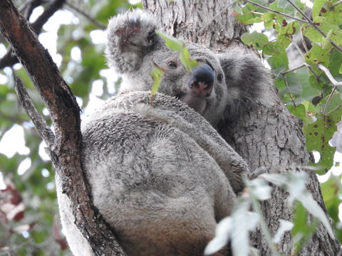 Twilight Grove Farm Bed And Breakfast - Accommodation Brunswick Heads 1