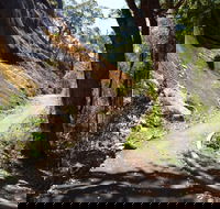 Centre Road Crossing Camp at Mount Frankland South National Park - Accommodation Brunswick Heads