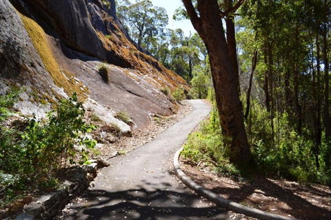 Centre Road Crossing Camp At Mount Frankland South National Park - Accommodation Brunswick Heads 0