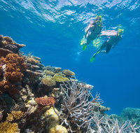 NRMA Cairns Holiday Park - Accommodation Brunswick Heads