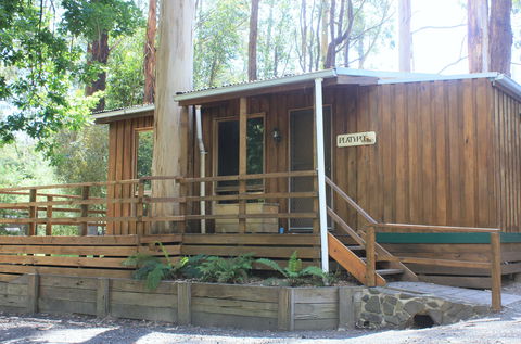 Tarra Valley Caravan Park - Accommodation Brunswick Heads 1