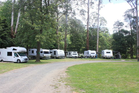 Tarra Valley Caravan Park - Accommodation Brunswick Heads 2