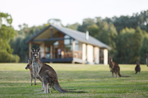 Yering Gorge Cottages - Accommodation Brunswick Heads 0