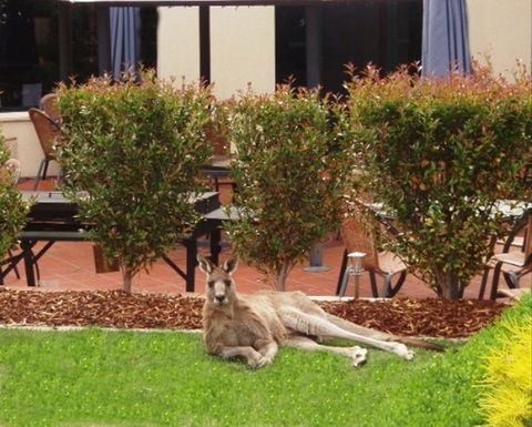 Alpha Canberra Hotel - Accommodation Brunswick Heads 0