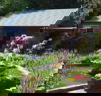 Barefoot Springs B and B - Accommodation Brunswick Heads