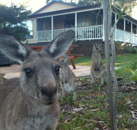 Bush and Bay Cottage - Accommodation Brunswick Heads