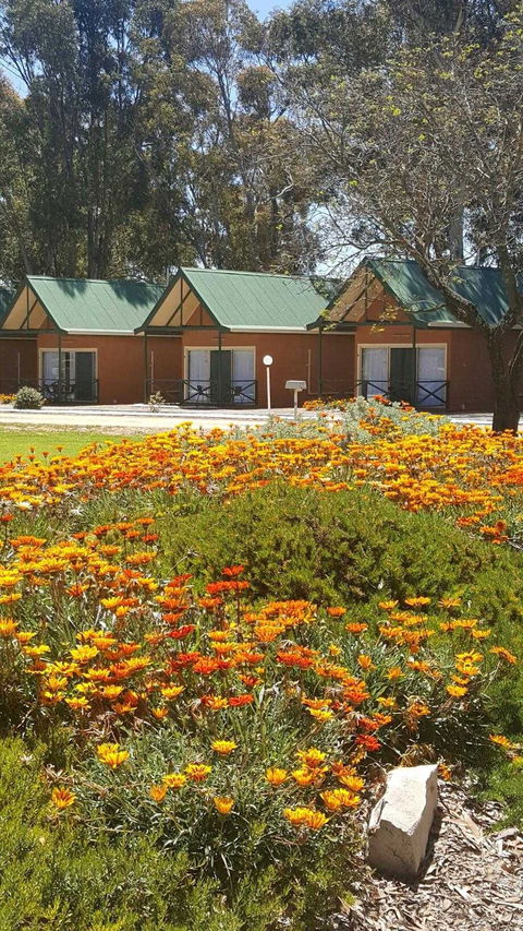 Jamestown Country Retreat Caravan Park - Accommodation Brunswick Heads 1