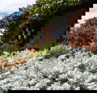 Kangaroos in the Top Paddock - Accommodation Brunswick Heads