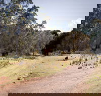 The Pines campground - Accommodation Brunswick Heads