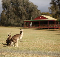 The Pokolbin Cabins - Accommodation Brunswick Heads