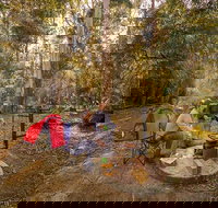 Thungutti campground - Accommodation Brunswick Heads