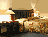 Comfort Inn Treetop Walk - Accommodation Brunswick Heads