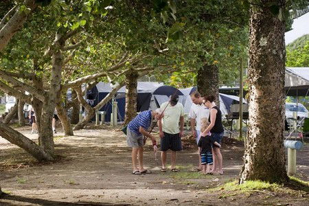 Massey Greene Holiday Park - Accommodation Brunswick Heads 5