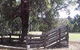 Margaret House - thumb 5