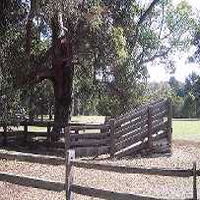 Margaret House - Accommodation Brunswick Heads 5